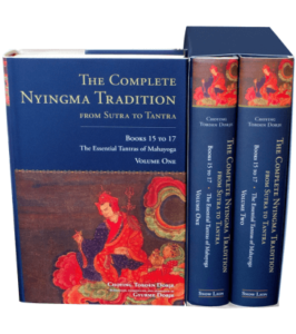 Gyurmey Dorje's translation of the complete nyingma tradition